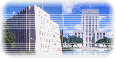 Harris County Court House and City Hall